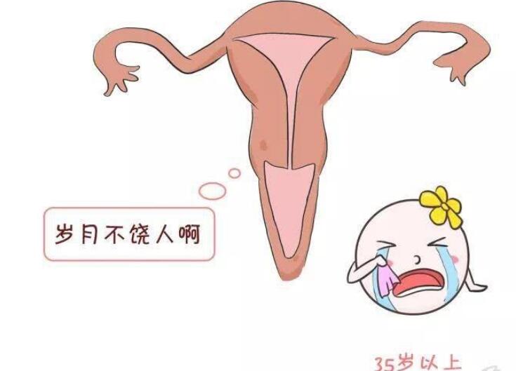女性保健品市場
